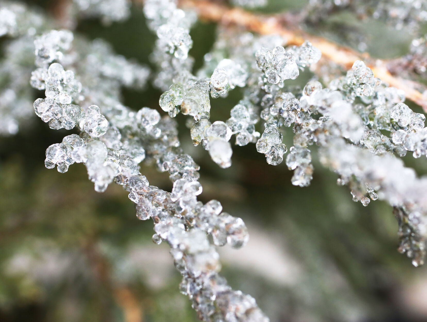 Icy Weather